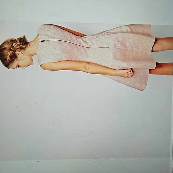 Ted Baker Blush Lace Fit & Flare Dress - Picture 3 of 12